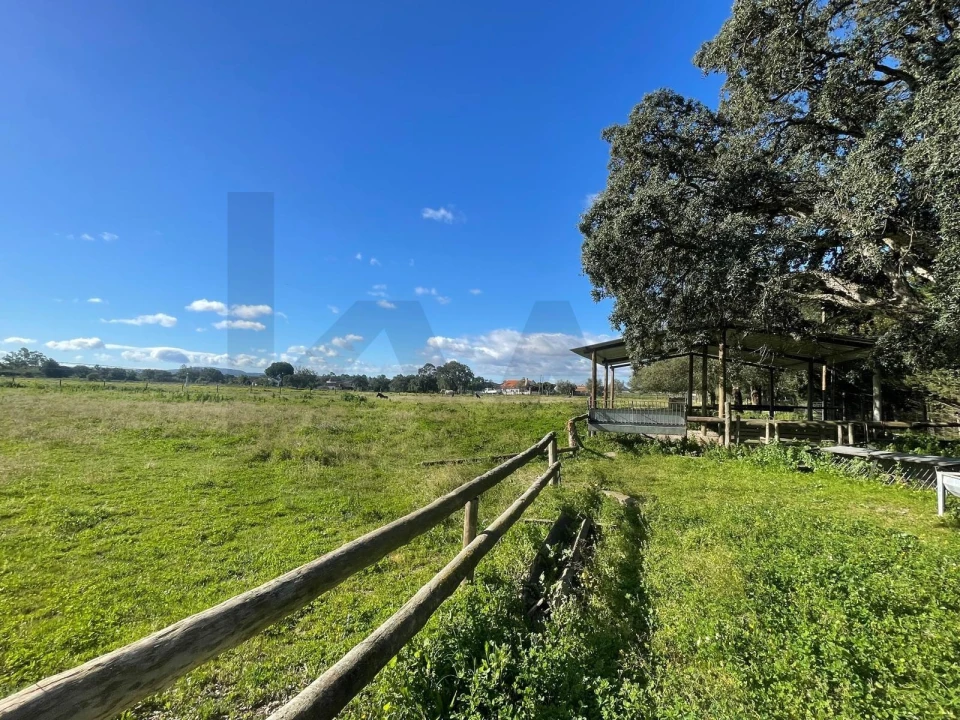 Terreno para Venda em Pinhal Novo Foto 1
