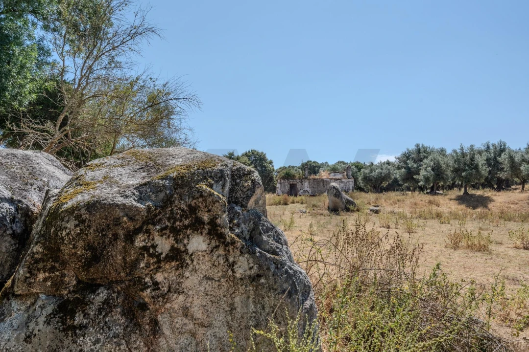 Terreno para Venda em Nossa Senhora da Vila, Nossa Senhora do Bispo e Silveiras Foto 18