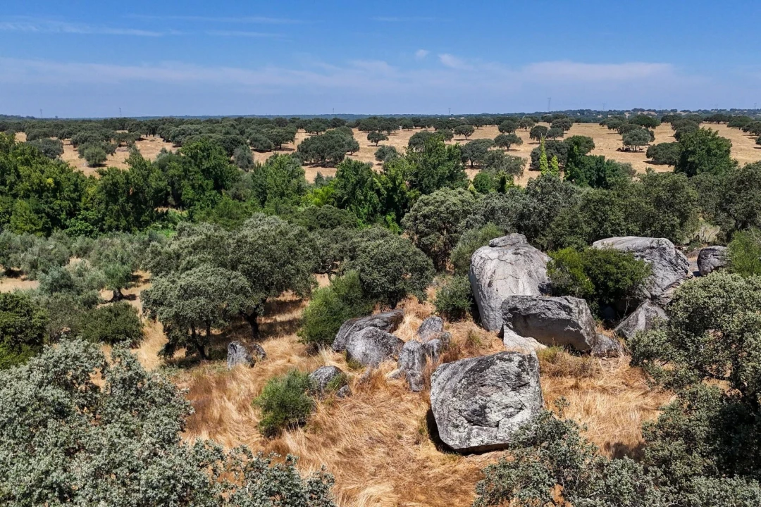 Terreno para Venda em Nossa Senhora da Vila, Nossa Senhora do Bispo e Silveiras Foto 14