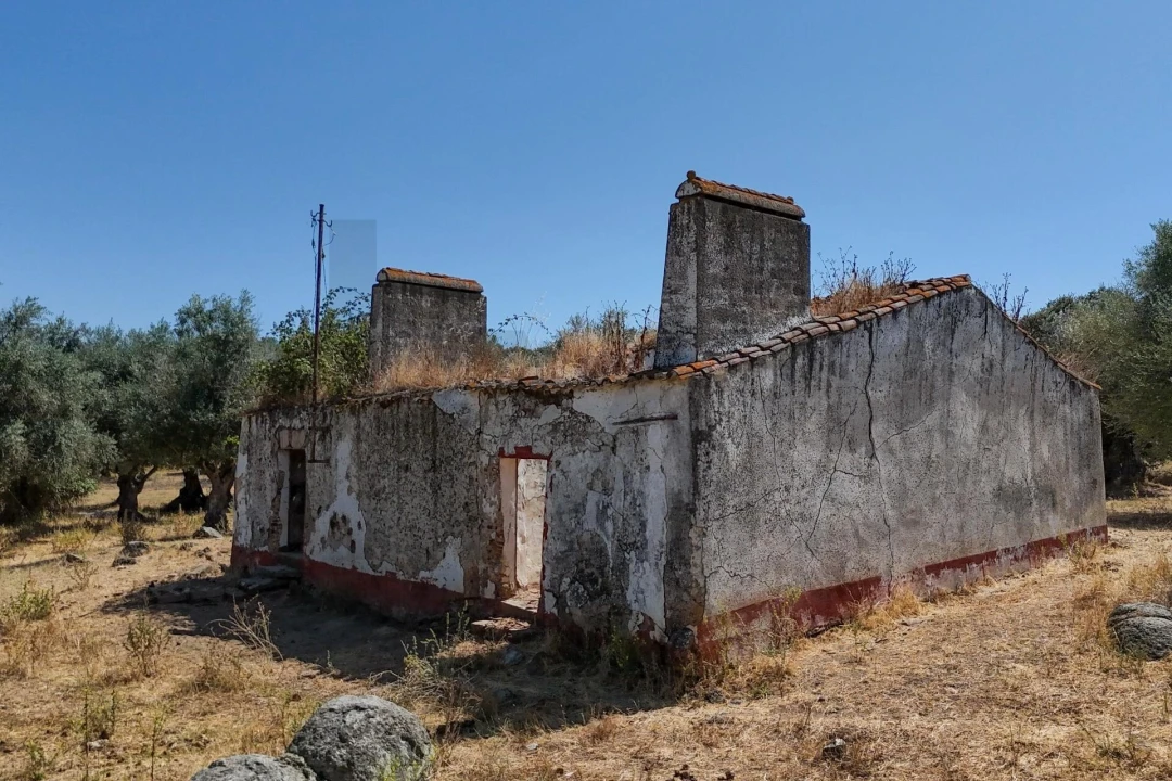 Terreno para Venda em Nossa Senhora da Vila, Nossa Senhora do Bispo e Silveiras Foto 11