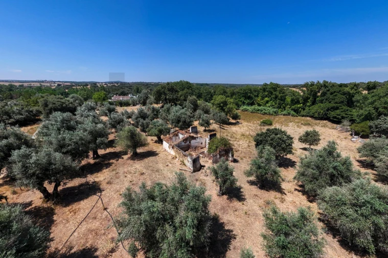 Terreno para Venda em Nossa Senhora da Vila, Nossa Senhora do Bispo e Silveiras Foto 22