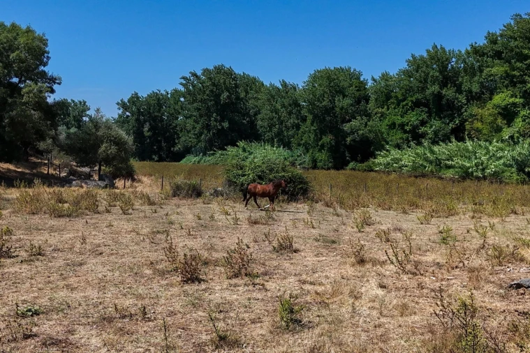 Terreno para Venda em Nossa Senhora da Vila, Nossa Senhora do Bispo e Silveiras Foto 36