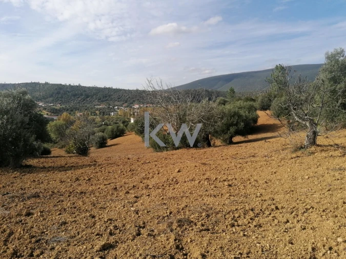 Terreno para Venda em Pedrogão Foto 4
