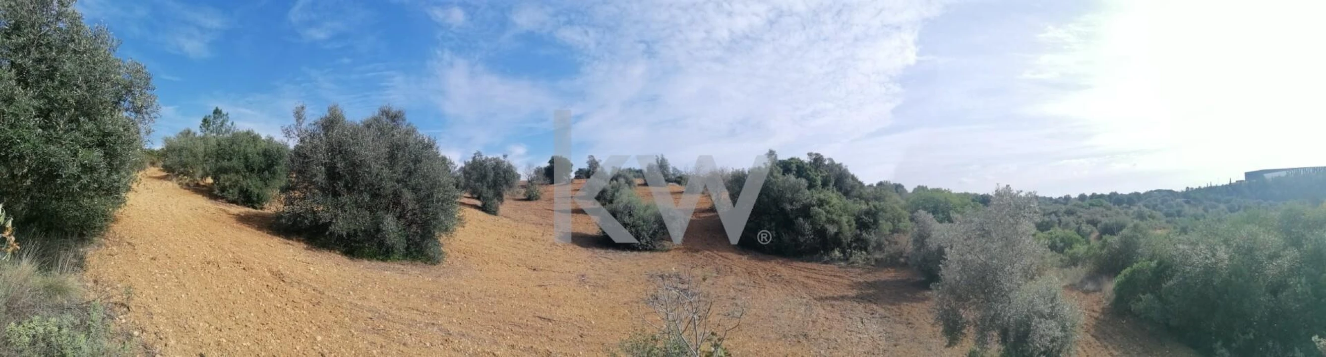 Terreno para Venda em Pedrogão Foto 2