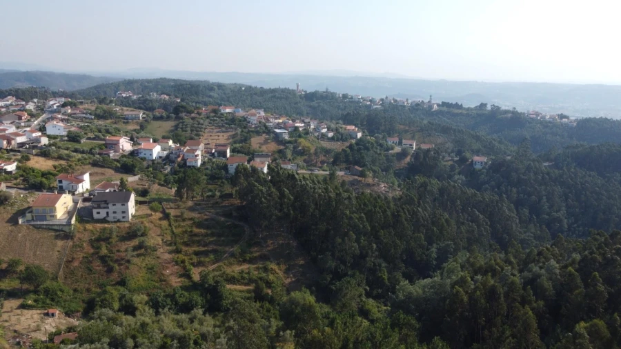 Terreno para Venda em Torres do Mondego Foto 14