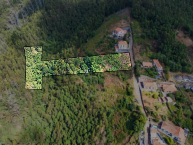 Terreno para Venda em Monte