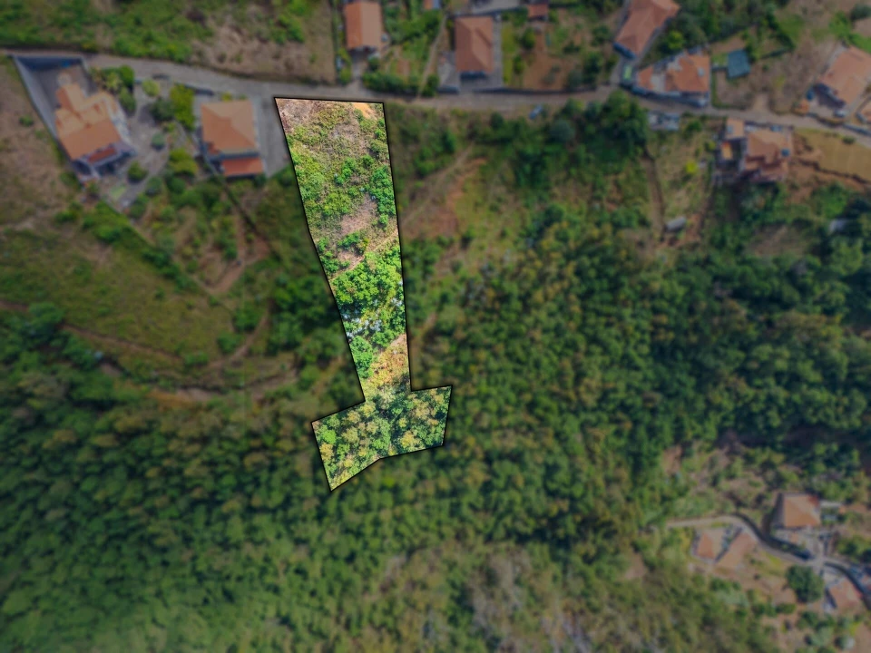 Terreno para Venda em Monte Foto 7