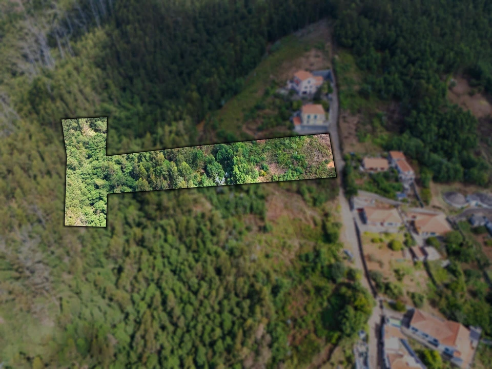 Terreno para Venda em Monte Foto 1