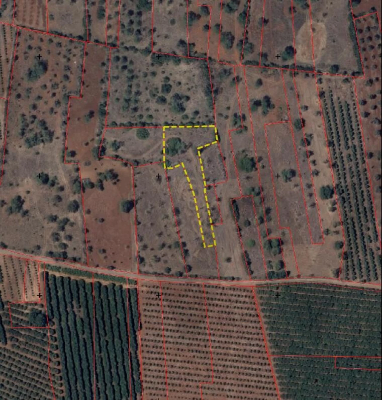 Terreno para Venda em São Bartolomeu de Messines Foto 6