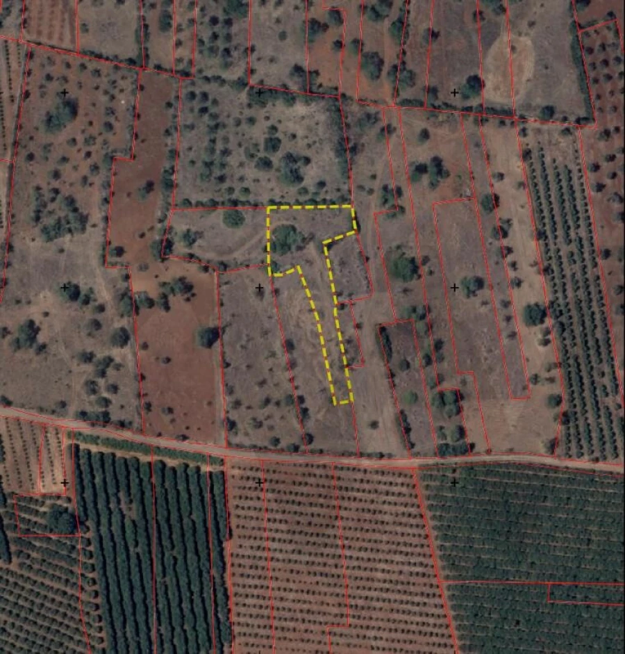 Terreno para Venda em São Bartolomeu de Messines Foto 6