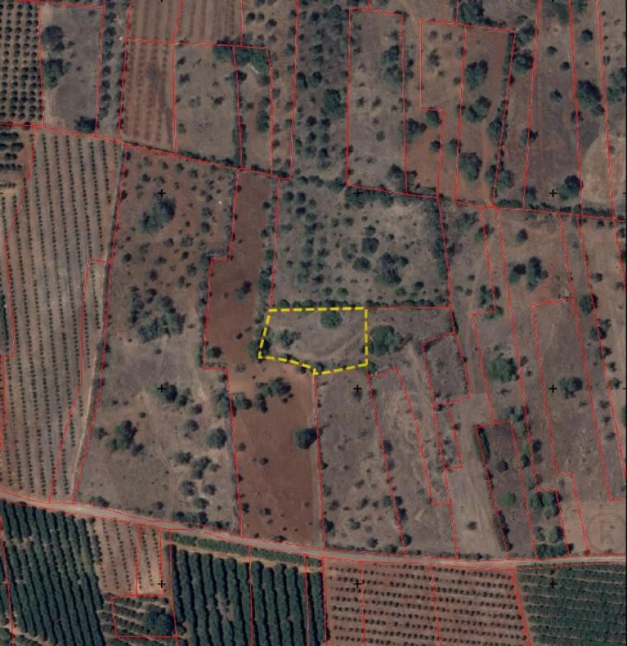 Terreno para Venda em São Bartolomeu de Messines Foto 1