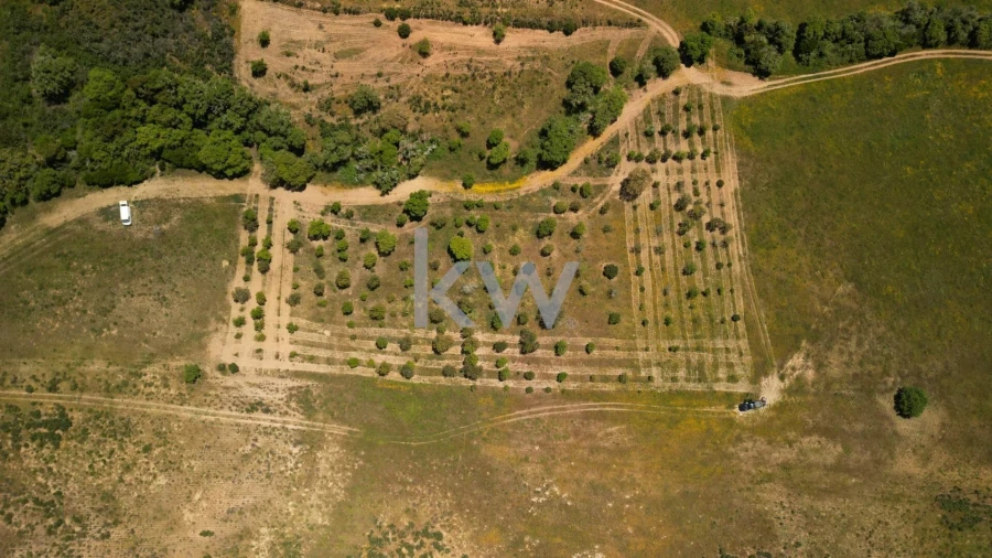 Terreno para Venda em Budens Foto 12