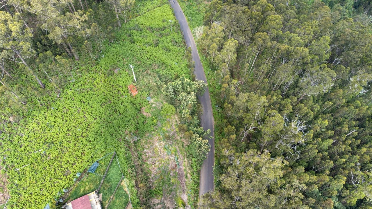 Terreno para Venda em Arco da Calheta Foto 24
