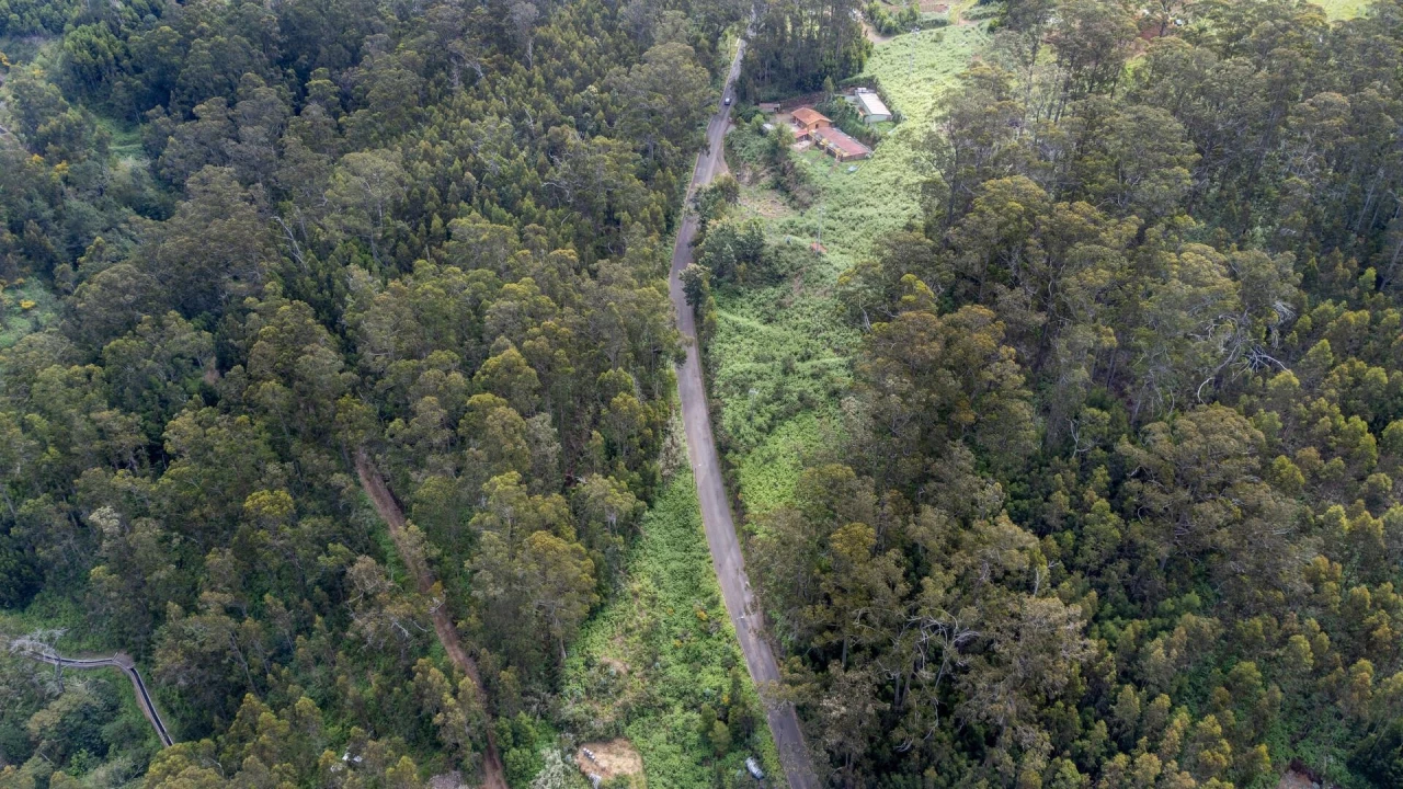 Terreno para Venda em Arco da Calheta Foto 17