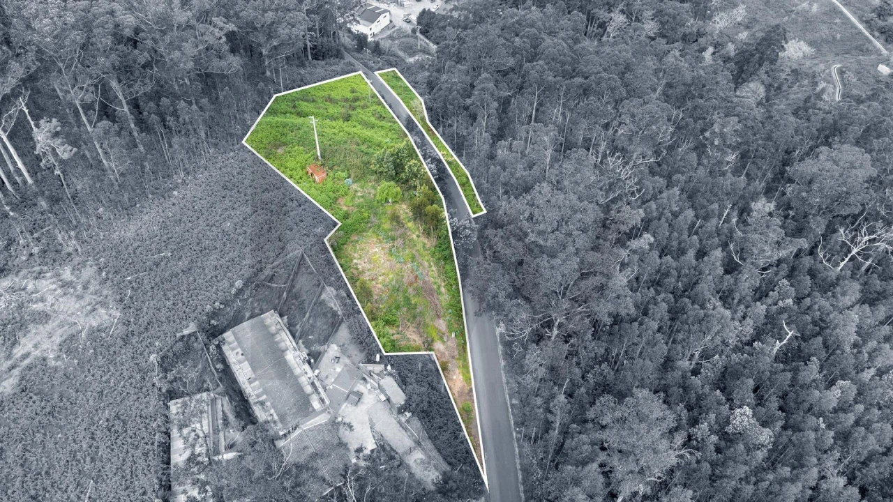 Terreno para Venda em Arco da Calheta Foto 6