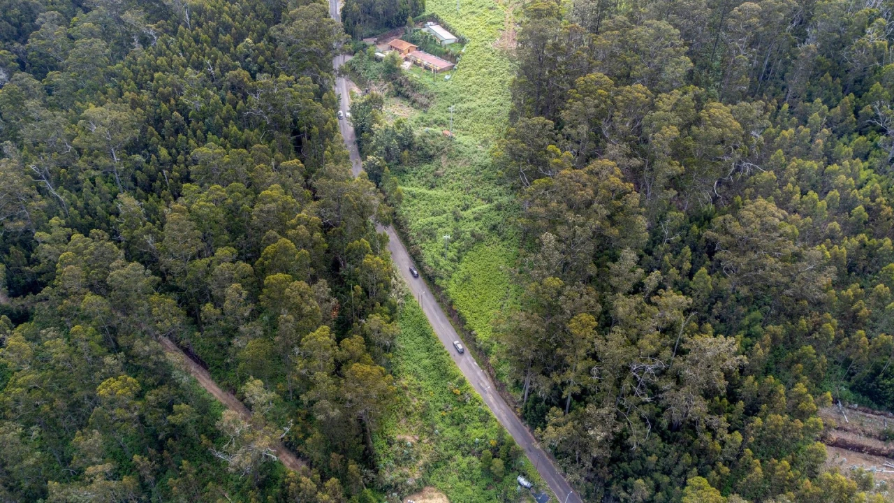 Terreno para Venda em Arco da Calheta Foto 13
