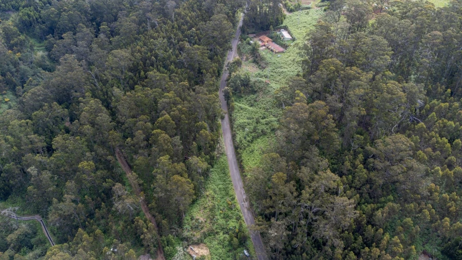 Terreno para Venda em Arco da Calheta Foto 19