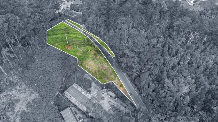 Terreno para Venda em Arco da Calheta Foto 10