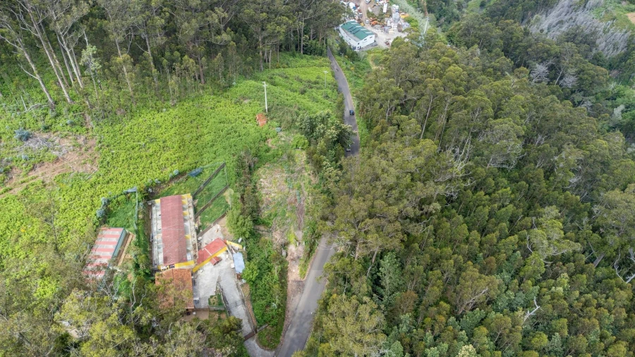Terreno para Venda em Arco da Calheta Foto 11