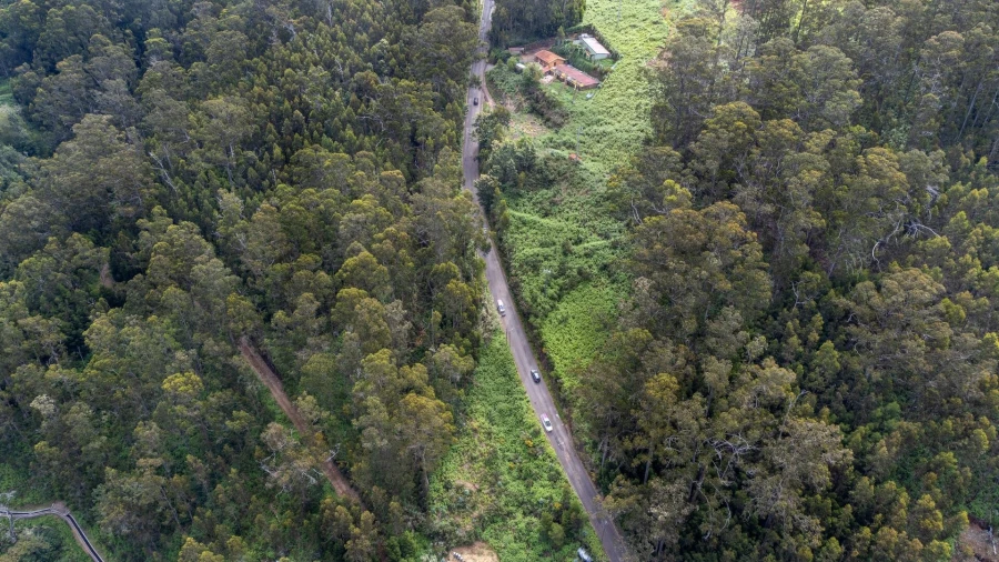 Terreno para Venda em Arco da Calheta Foto 15