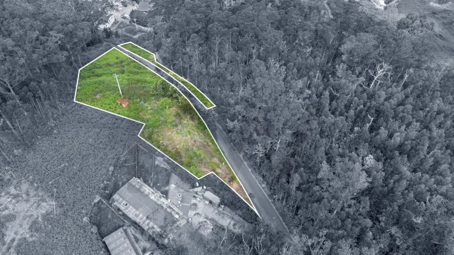 Terreno para Venda em Arco da Calheta Foto 8