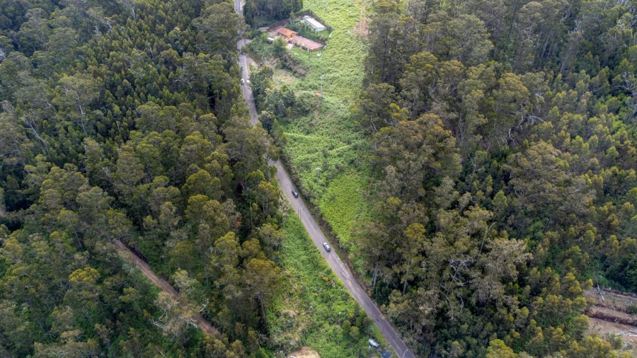 Terreno para Venda em Arco da Calheta Foto 13