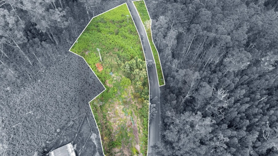 Terreno para Venda em Arco da Calheta Foto 25