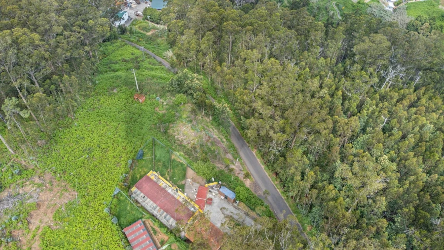 Terreno para Venda em Arco da Calheta Foto 9