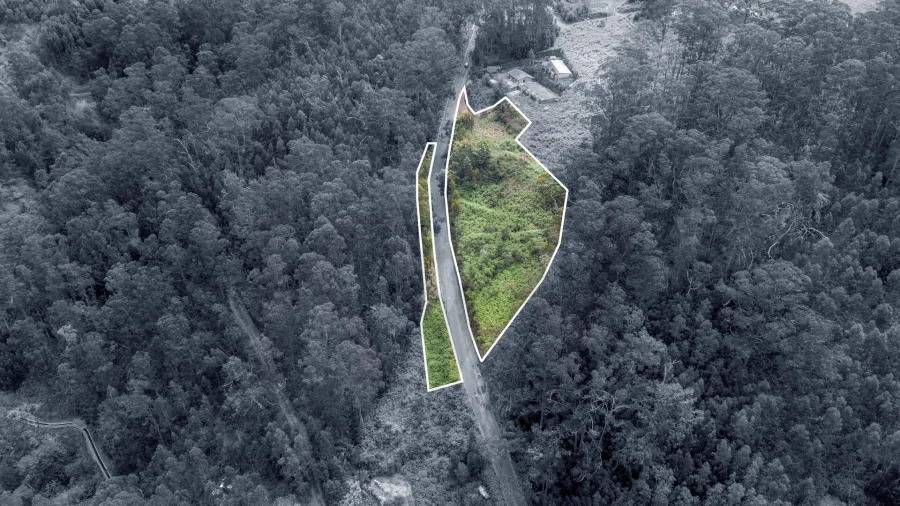 Terreno para Venda em Arco da Calheta Foto 18