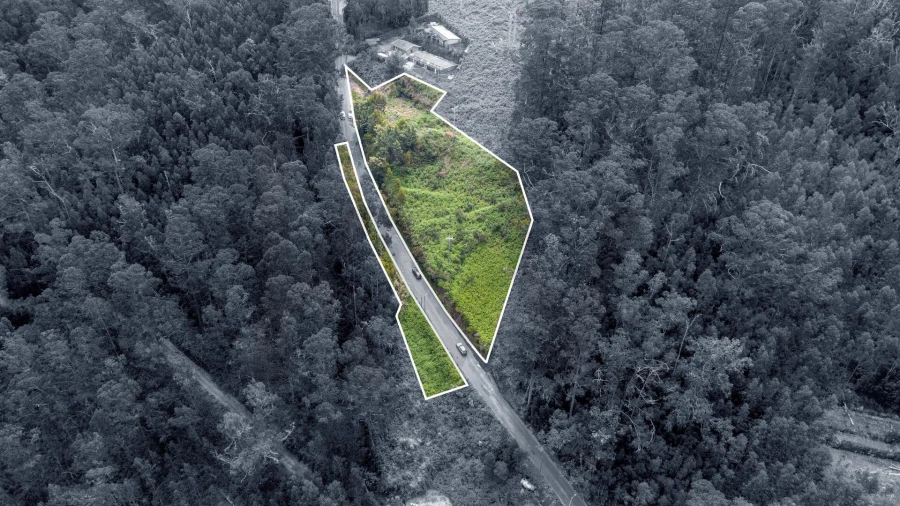 Terreno para Venda em Arco da Calheta Foto 14