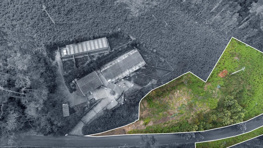 Terreno para Venda em Arco da Calheta Foto 23