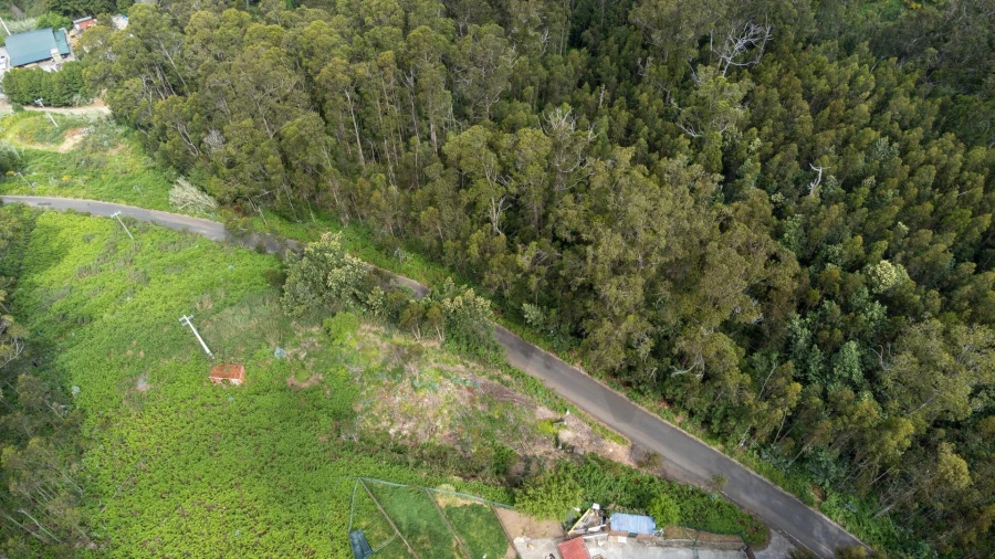 Terreno para Venda em Arco da Calheta Foto 2