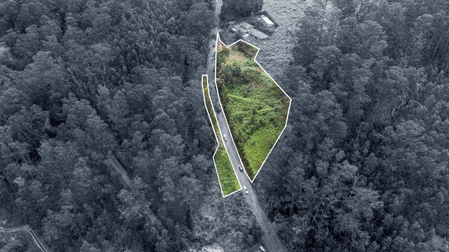 Terreno para Venda em Arco da Calheta Foto 16