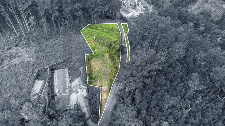 Terreno para Venda em Arco da Calheta Foto 12