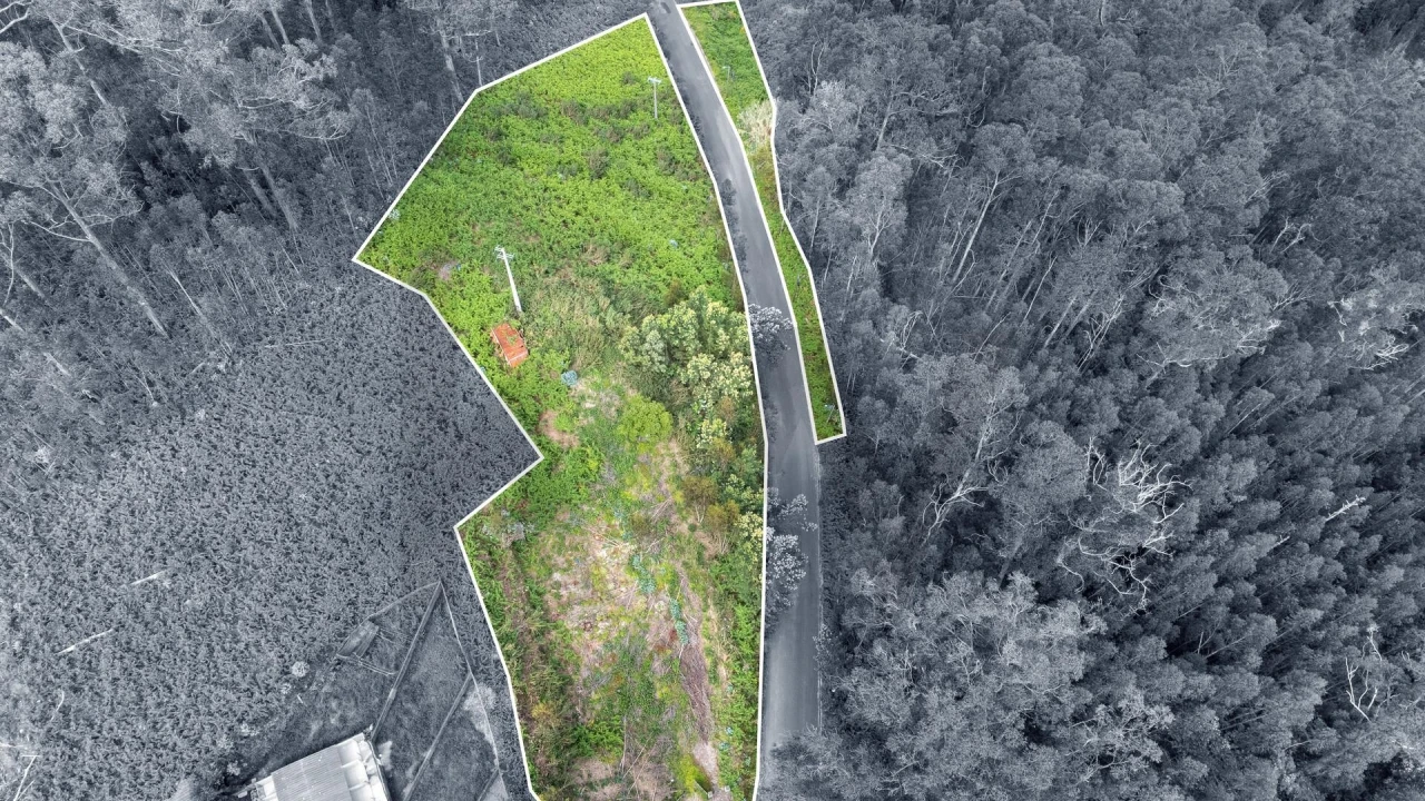 Terreno para Venda em Arco da Calheta Foto 25