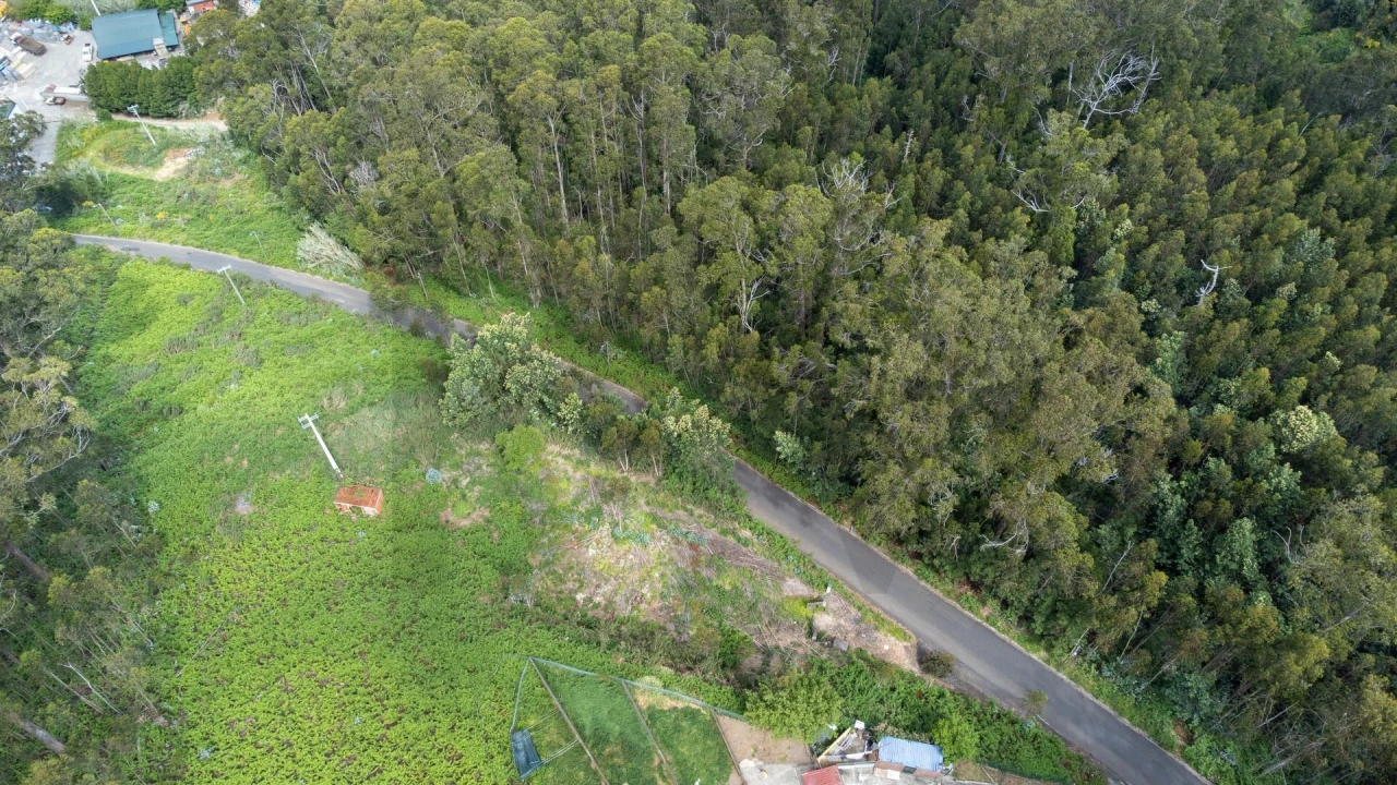 Terreno para Venda em Arco da Calheta Foto 20