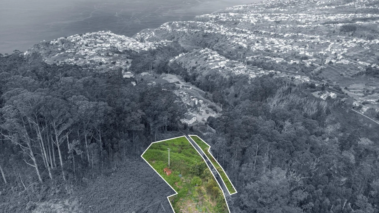 Terreno para Venda em Arco da Calheta Foto 4