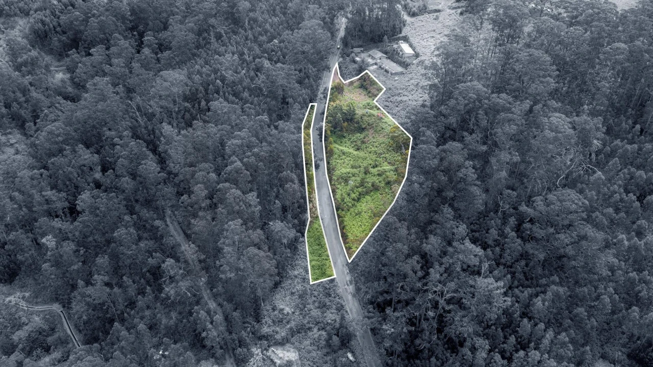 Terreno para Venda em Arco da Calheta Foto 18