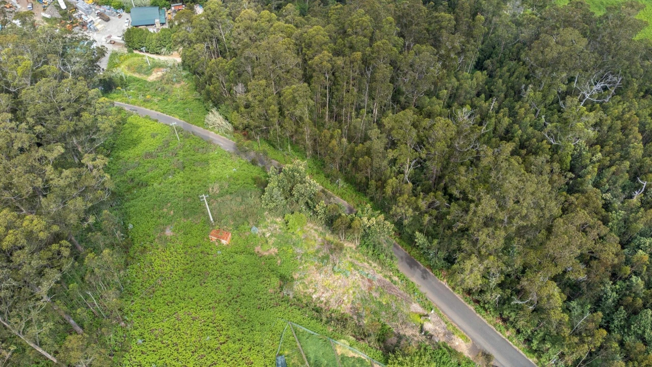 Terreno para Venda em Arco da Calheta Foto 26