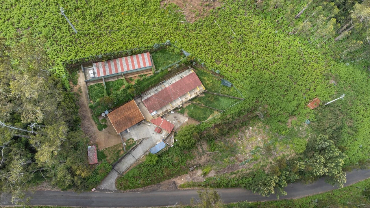 Terreno para Venda em Arco da Calheta Foto 22