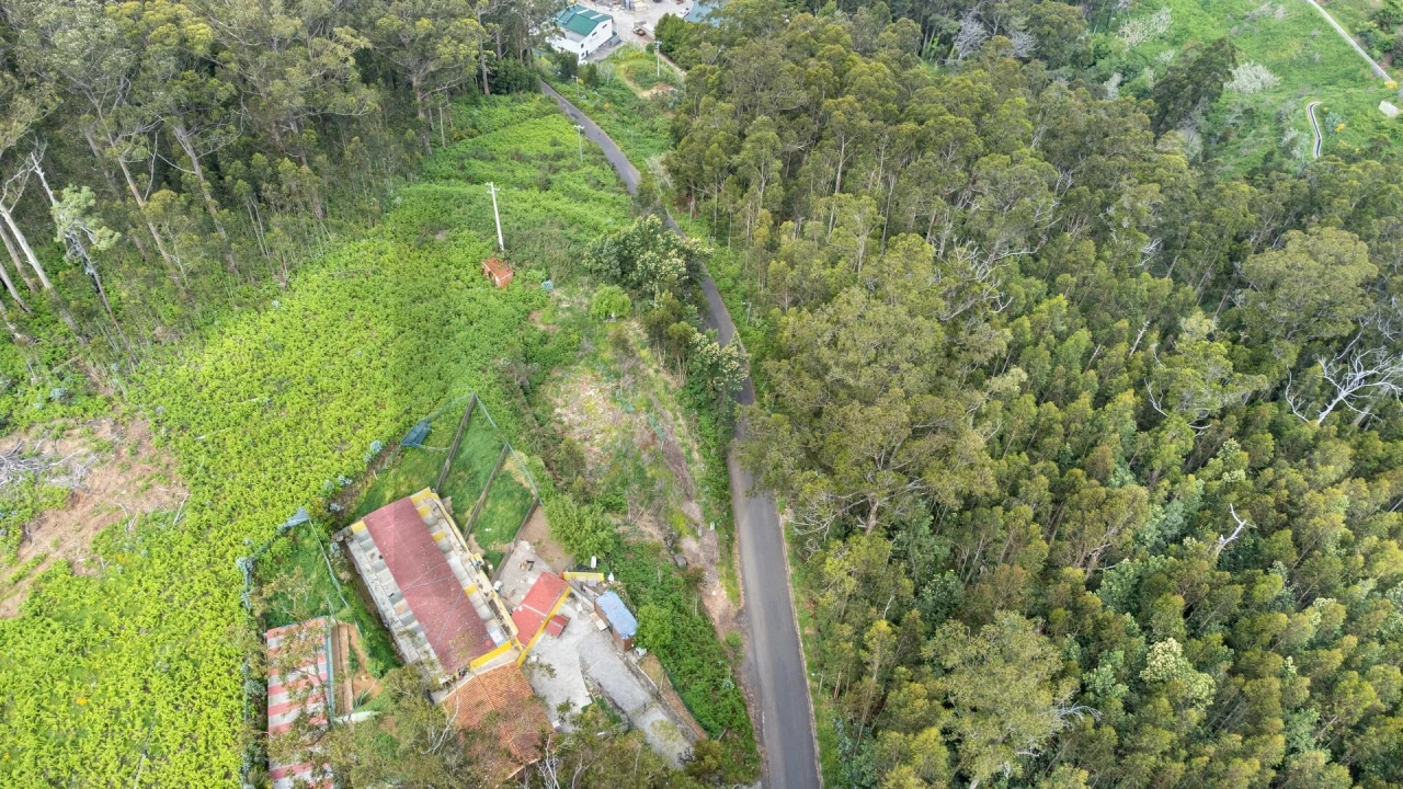 Terreno para Venda em Arco da Calheta Foto 5