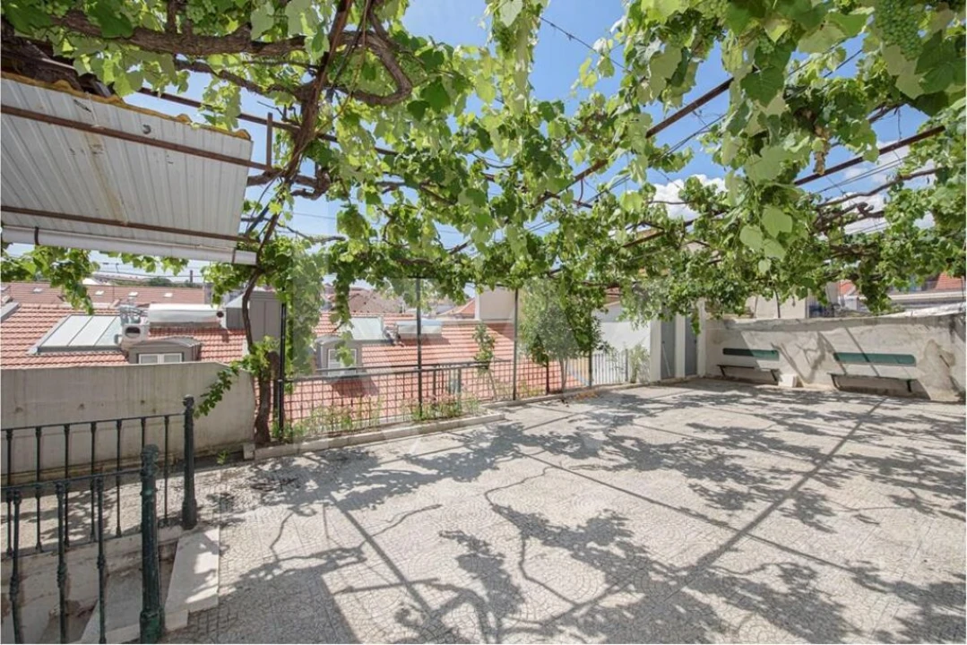 Prédio para Venda em Santa Maria Maior Foto 11