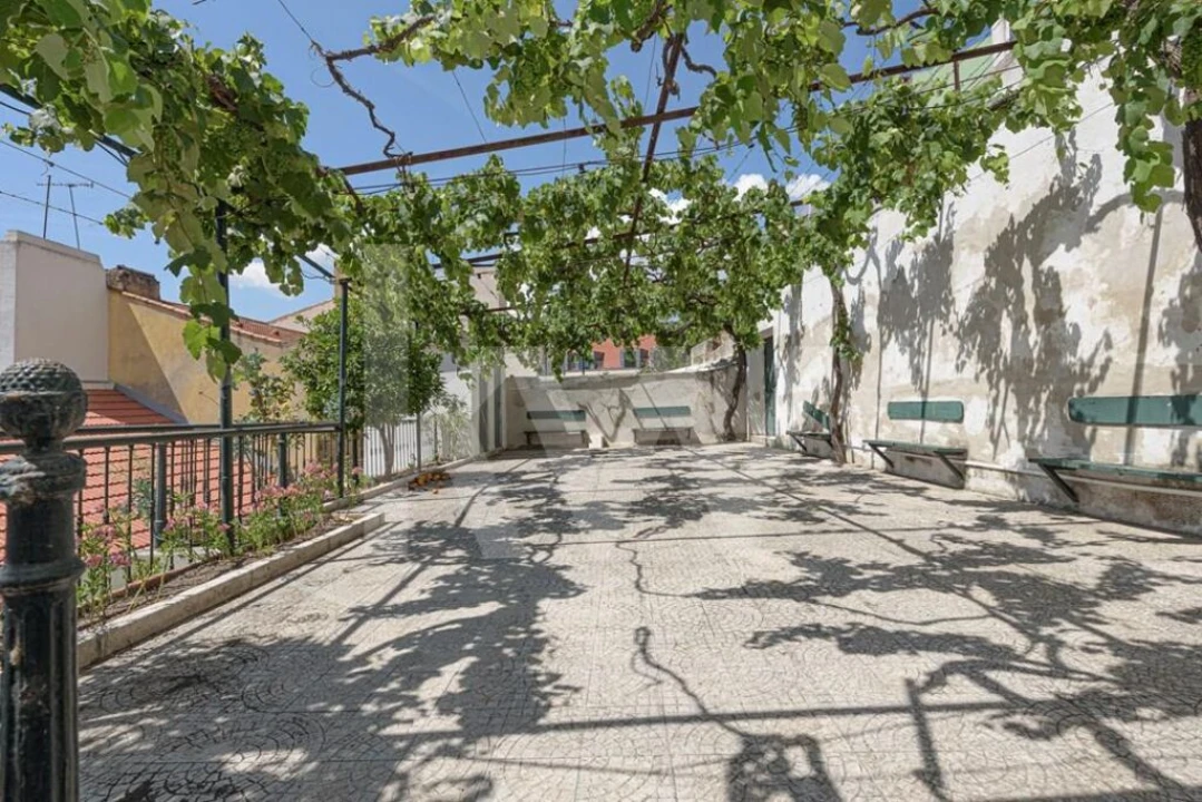 Prédio para Venda em Santa Maria Maior Foto 12