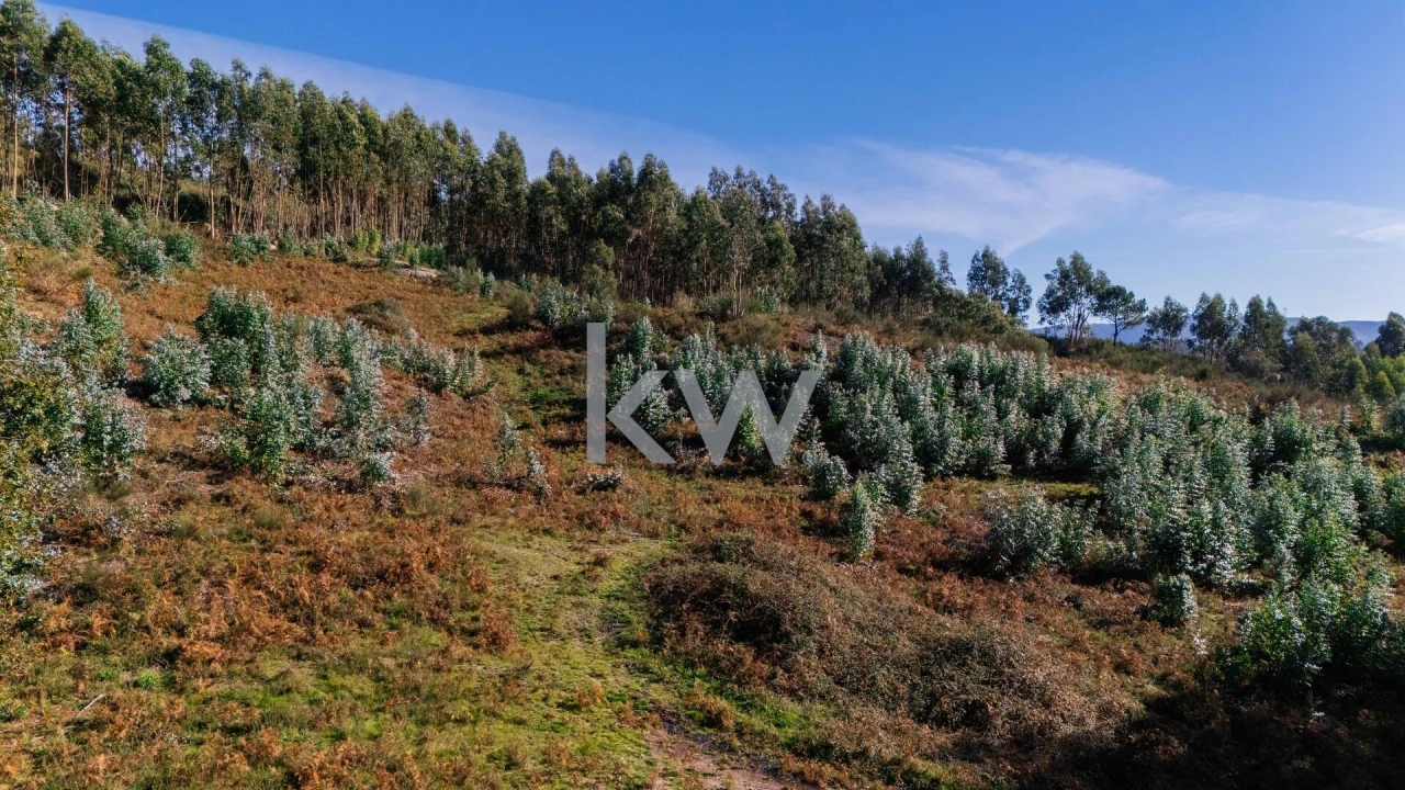 Terreno para Venda em Anissó e Soutelo Foto 28