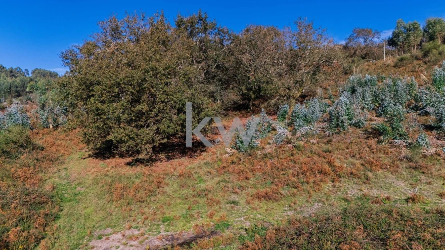 Terreno para Venda em Anissó e Soutelo Foto 9