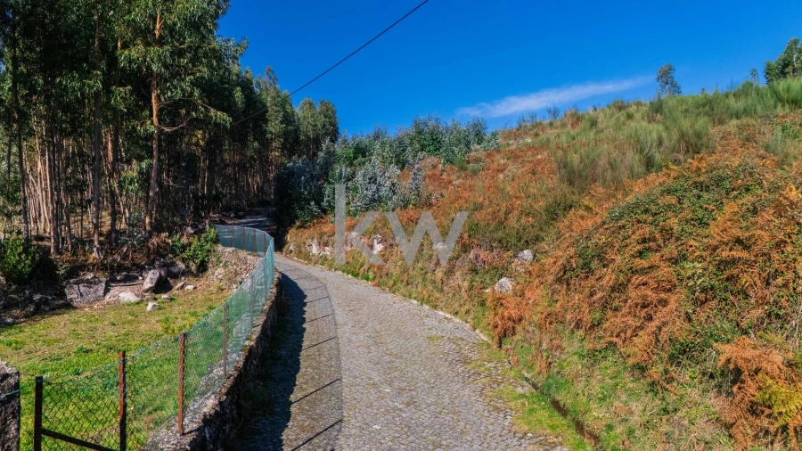 Terreno para Venda em Anissó e Soutelo Foto 6