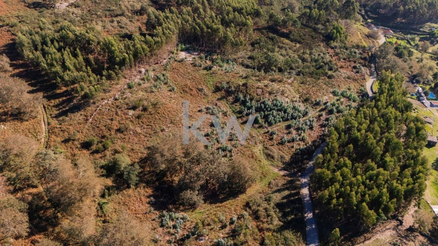 Terreno para Venda em Anissó e Soutelo Foto 19