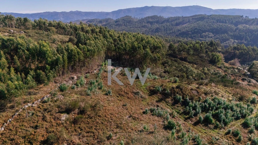 Terreno para Venda em Anissó e Soutelo Foto 18