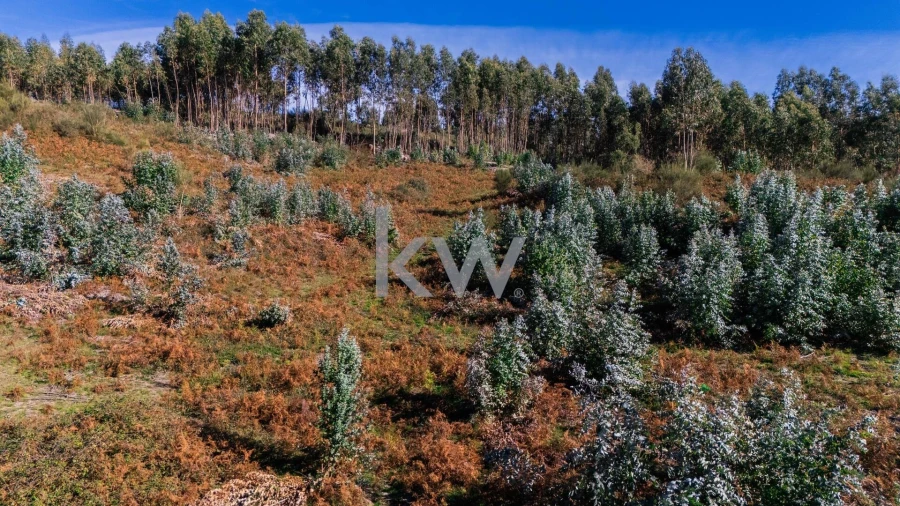 Terreno para Venda em Anissó e Soutelo Foto 8