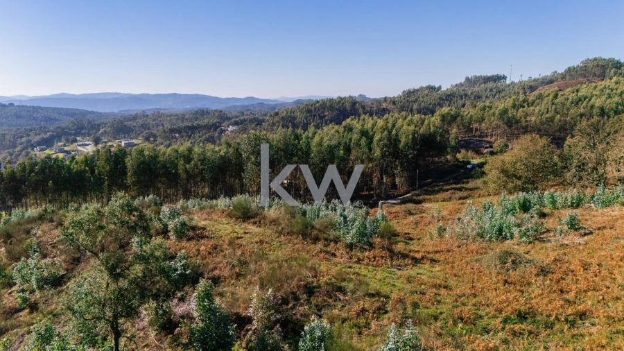 Terreno para Venda em Anissó e Soutelo Foto 15